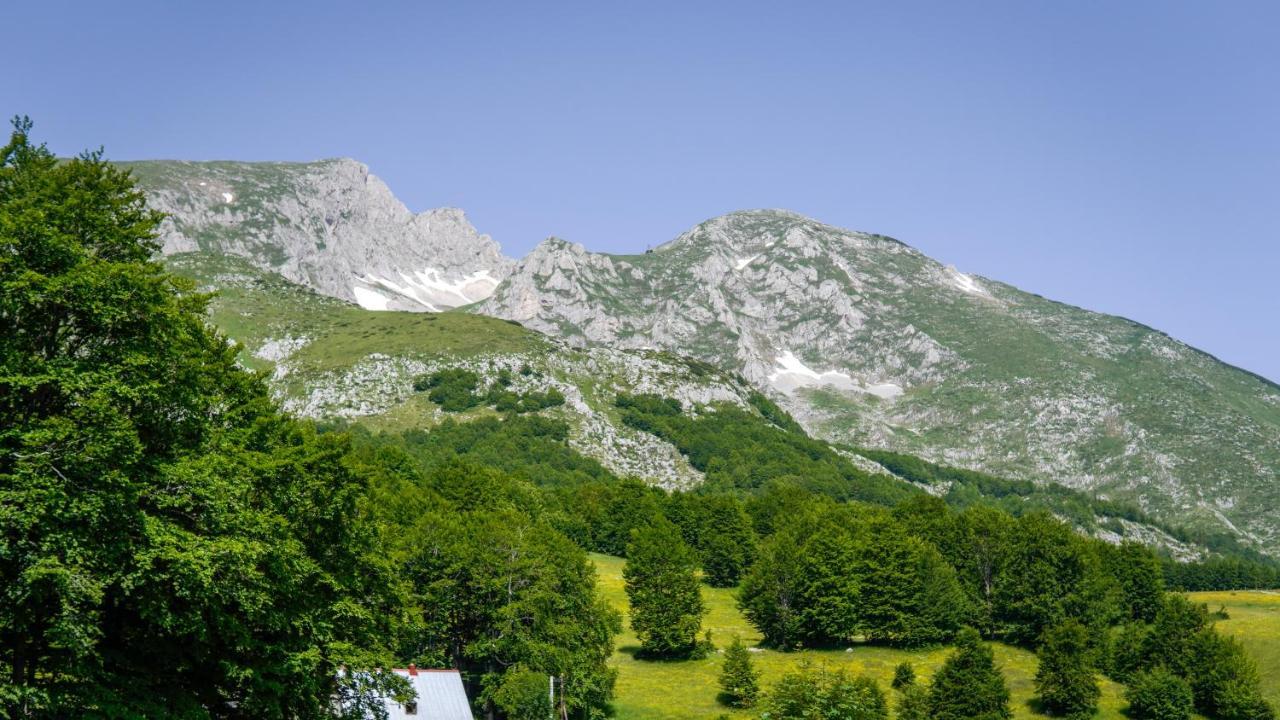 Mountain House Drveni Raj Villa Žabljak Eksteriør billede