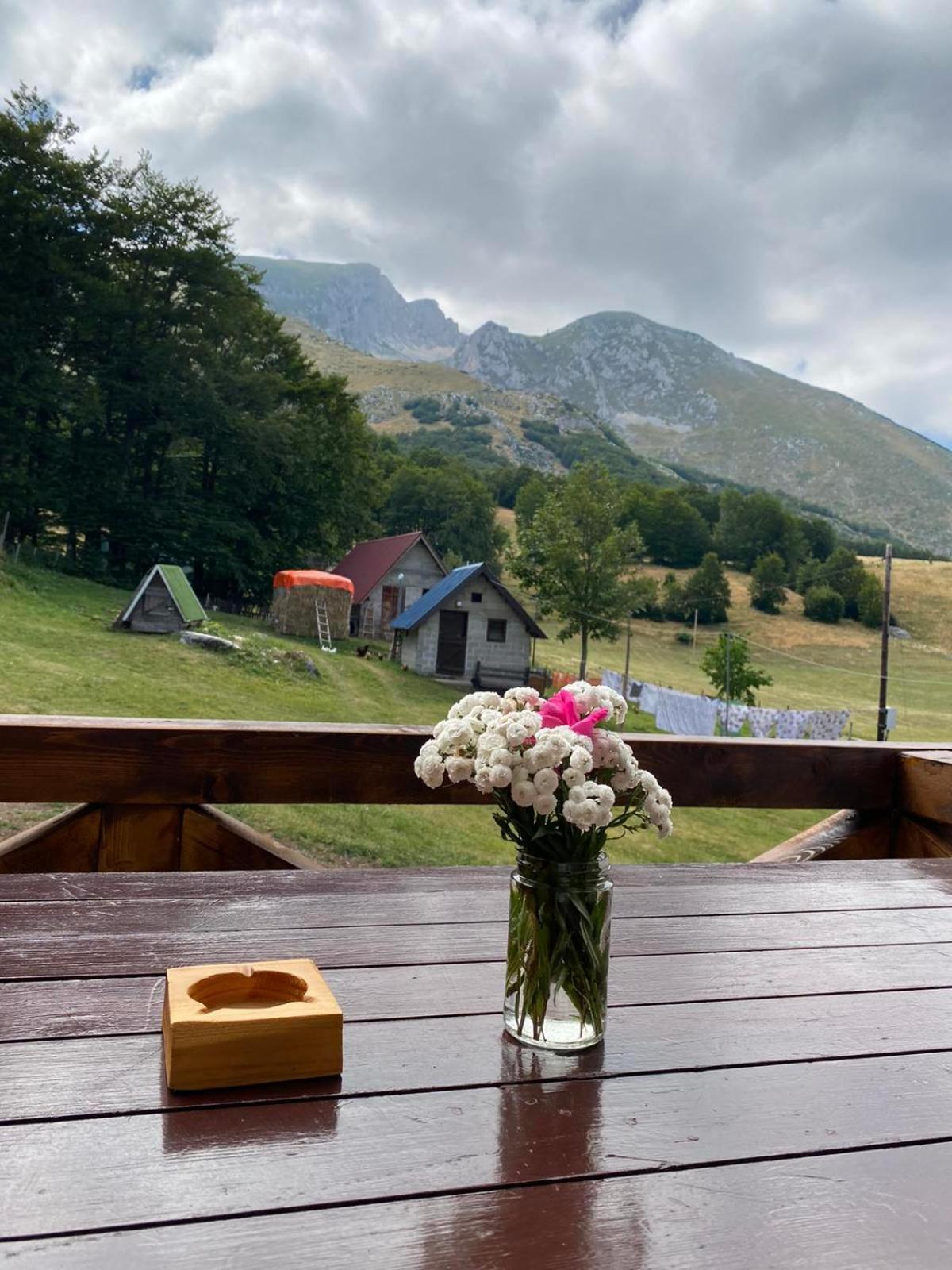 Mountain House Drveni Raj Villa Žabljak Eksteriør billede